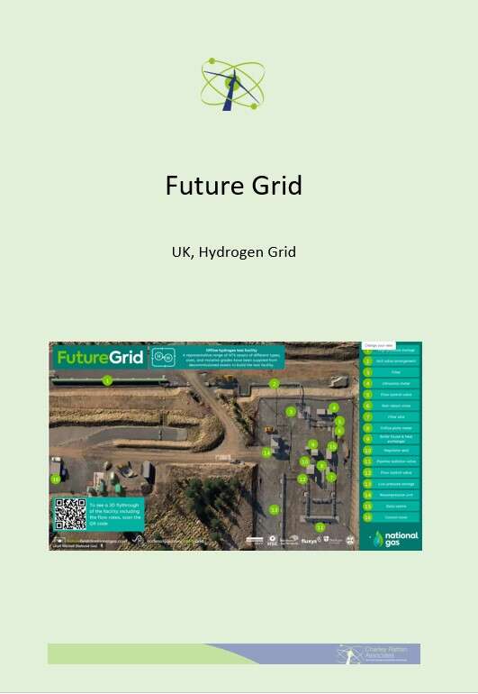 UK Hydrogen | Future Grid