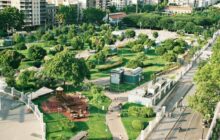 Green Infrastructure's Role in Responding to Fossil Fueled Global Warming