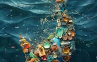 Can Plastic Generate Clean Energy?