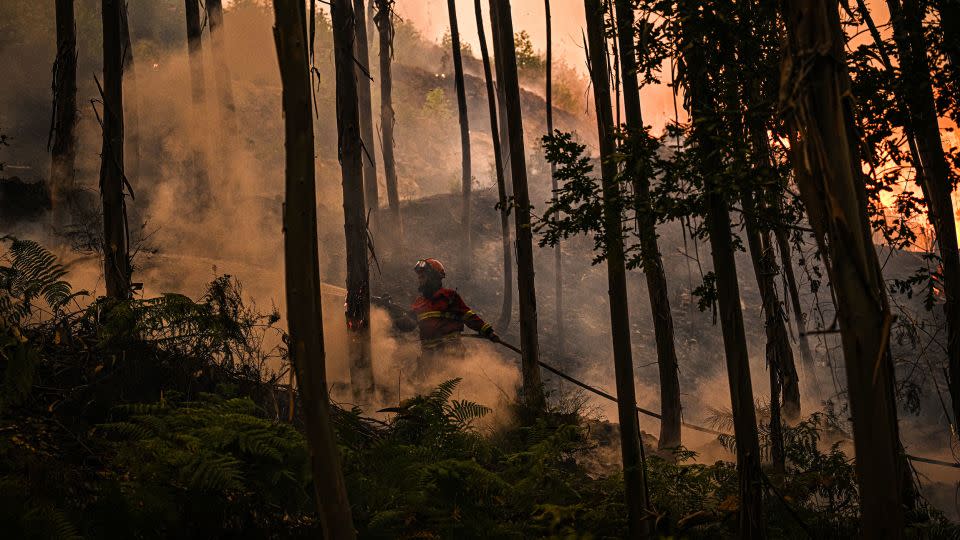 Firefighters working to extinguish a blaze in the town of Arouca. - Octavio Passos/Getty Images