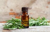 Rosemary Oil is Proven to Regrow Hair as Effectively as Rogaine—Here's How to Use It and a DIY Recipe