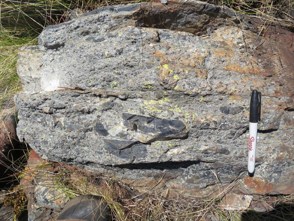 A rock from the seafloor with a pen for scale