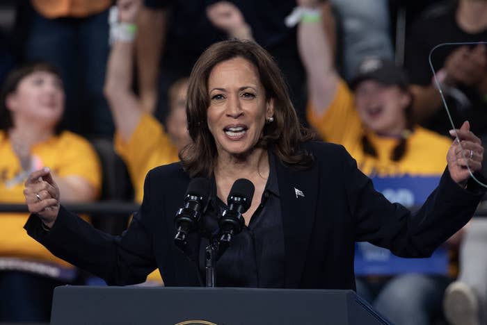 I Asked Independent Voters If They're Going With Kamala Harris Or Donald Trump, And The Results Made Me Gasp