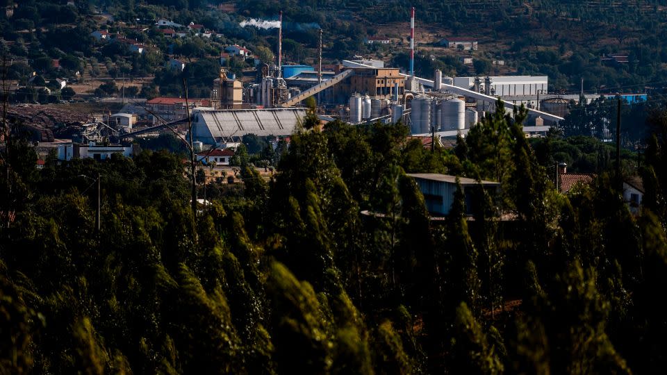 A paper mill near an expanse of eucalyptus forest at Constancia in Abrantes, central Portugal. - Patricia De Melo Moreira/AFP/Getty Images