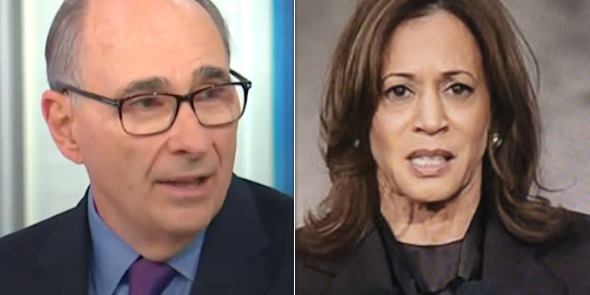 Ex-Obama Adviser Snidely Boils Down Harris Defeat To 1 Faction Of Democratic Party