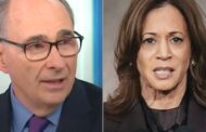 Ex-Obama Adviser Snidely Boils Down Harris Defeat To 1 Faction Of Democratic Party