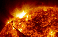 'Cataclysmic' solar storm hit Earth around 2,687 years ago, ancient tree rings reveal