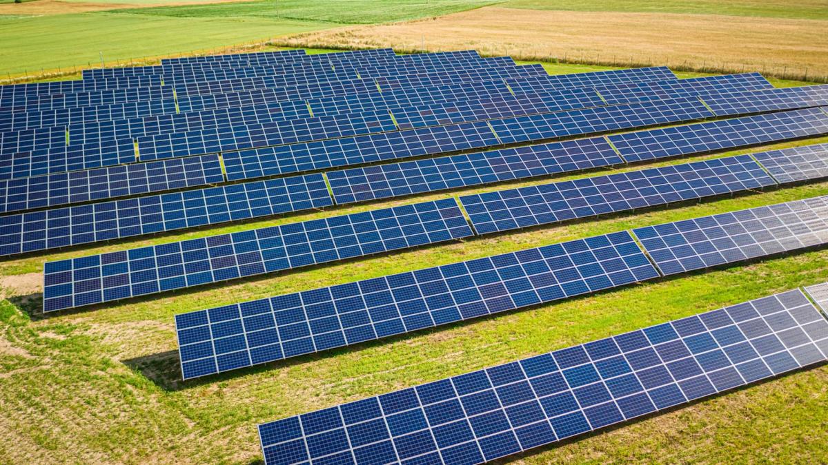 Research uncovers unexpected side effect of solar panels: 'They can tackle both ... crises at once'