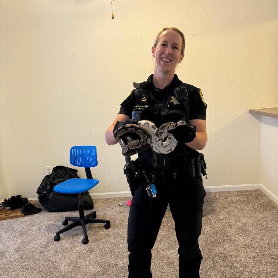 Master Deputy Shannon Huffman holds a ball python that was found in the bathroom of an apartment in Columbia, according to the Richland County Sheriff’s Department.