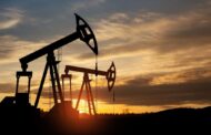 Gran Tierra Energy makes new oil discovery in Ecuador