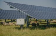 Experts uncover 'game-changer' side effects of solar farms: 'The benefits are numerous'