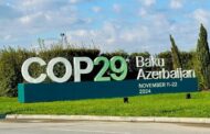 COP29 in Baku: Key Achievements and Goals for Global Climate Action