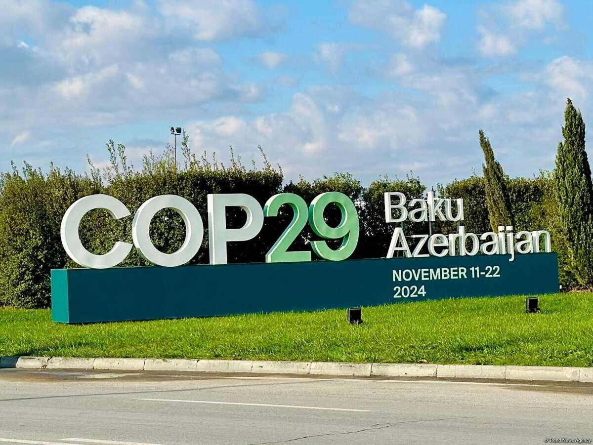 COP29 in Baku: Key Achievements and Goals for Global Climate Action