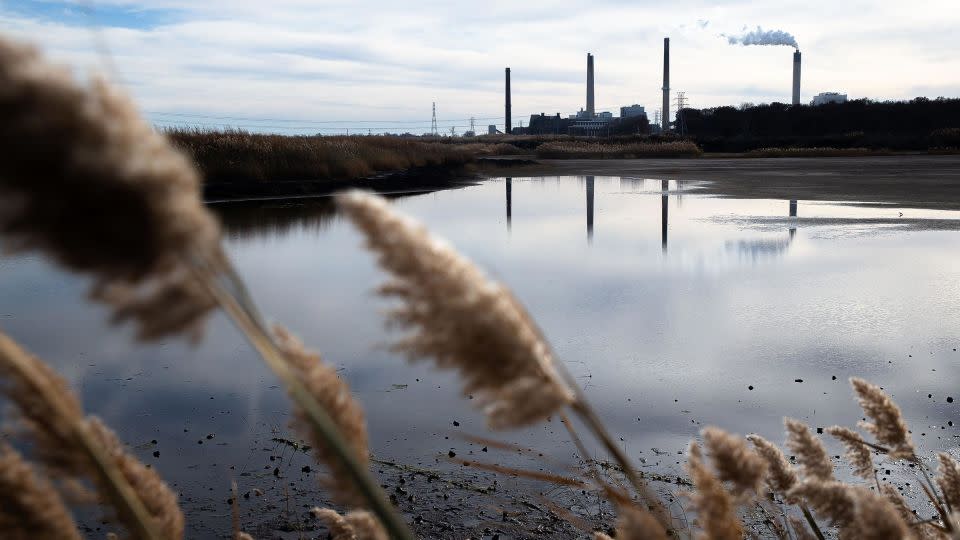 The Dallman coal ash pond in Springfield, Illinois, in November 2021. - Justin L. Fowler/The State Journal-Register/USA Today Network/Imagn Images