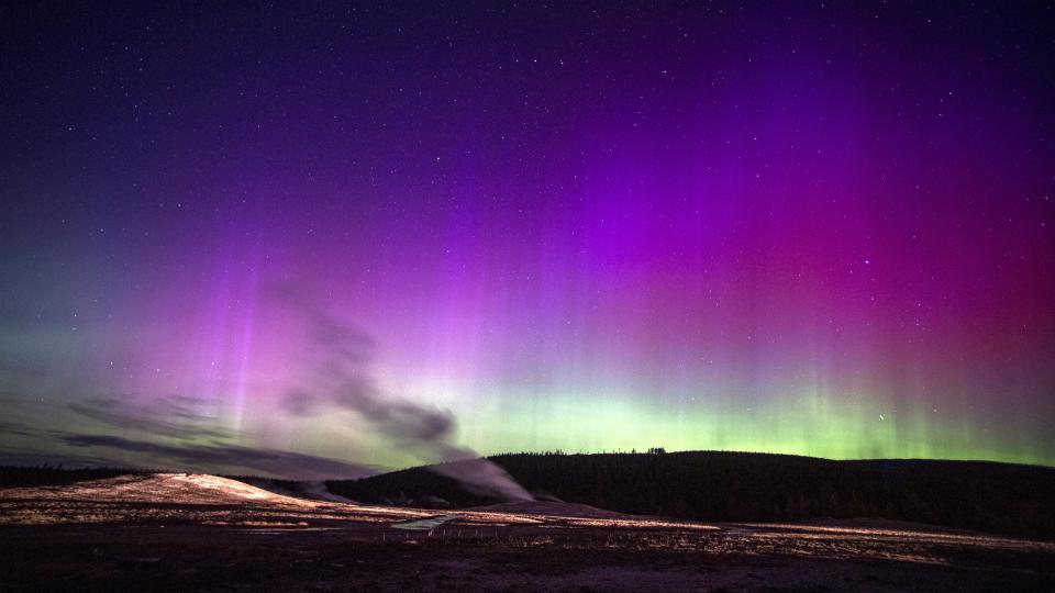 northern lights over yellowstone shows large pillars of purple and green lights and an erupting geyser in the foreground.