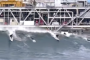 Massive Waves Break at Offshore SoCal Oil Rig (Watch)