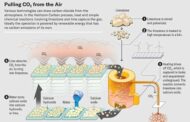 Direct Air Capture of Carbon Dioxide