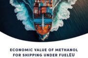 Economic Value of Methanol