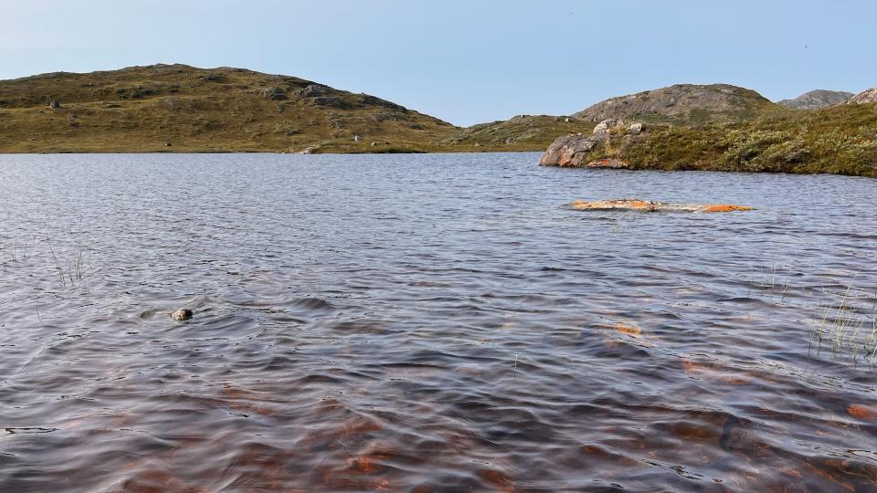 Catastrophic tipping point in Greenland reached as crystal blue lakes turn brown, belch out carbon dioxide