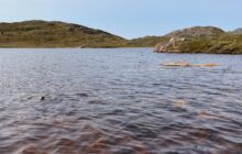 Catastrophic tipping point in Greenland reached as crystal blue lakes turn brown, belch out carbon dioxide