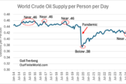 An Energy and the Economy Forecast for 2025