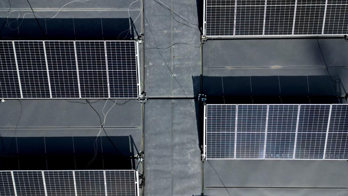 Scientists make unexpected discovery after examining high-tech solar panels — here's how it could boost long-term performance