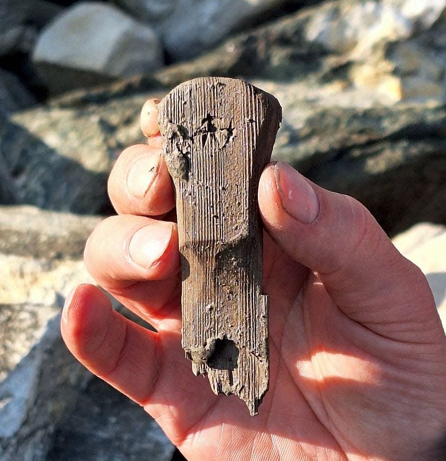 hand holding a small long wooden object with long straight vertical grain. one end of the object is rounded and the other is jagged and uneven.