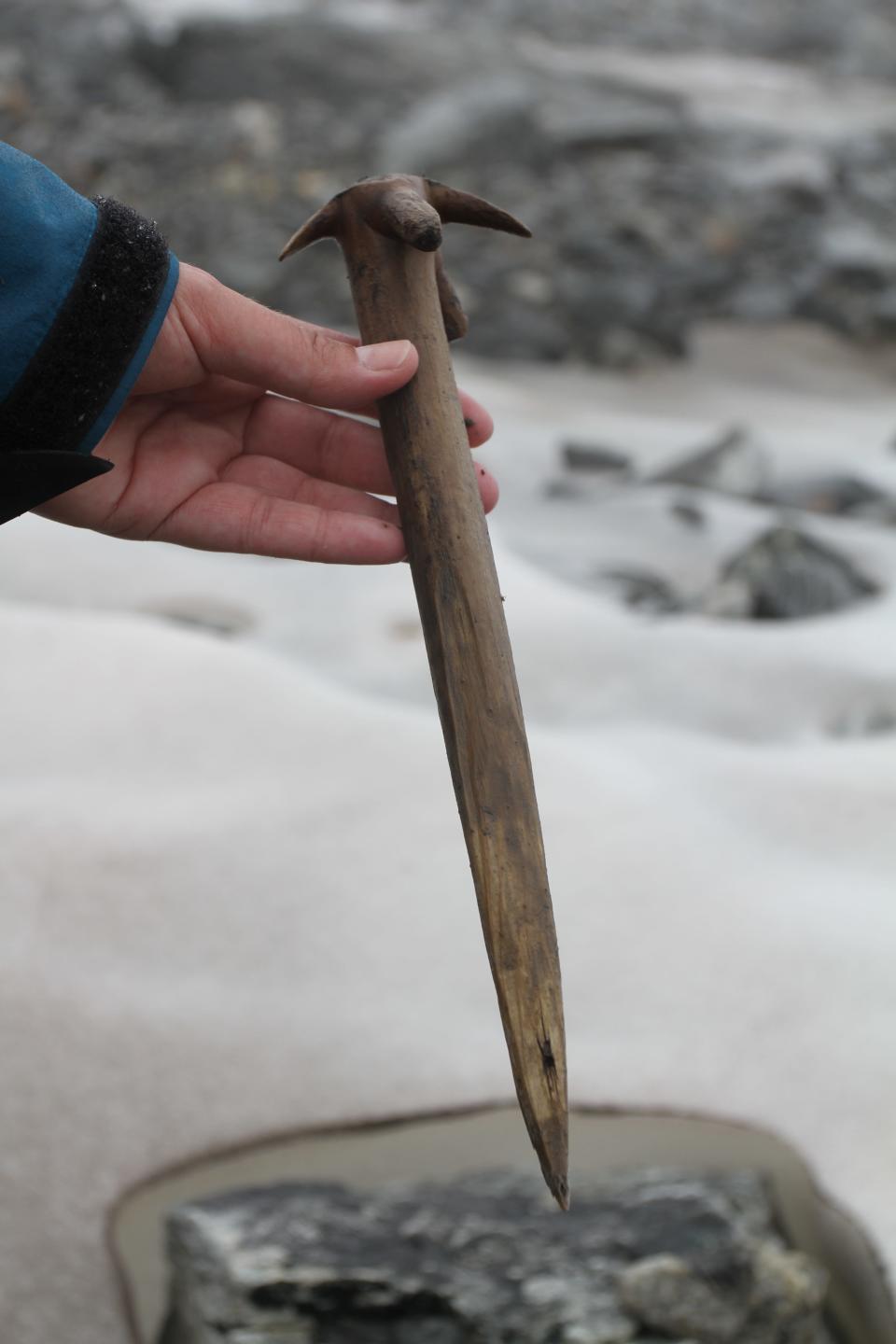 hand holding a long piece of wood with a sharp pointy end and four prongs at the top against a snowy background