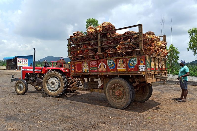 India's palm oil imports hit 14-year low as rival oils gain, dealers say