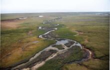 Gas gatherings: Taiwan, ANWR, Trump’s EPA
