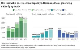 Sustainable Future?