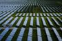 Solar stocks plunge as Republican tax bill worse than feared for clean energy