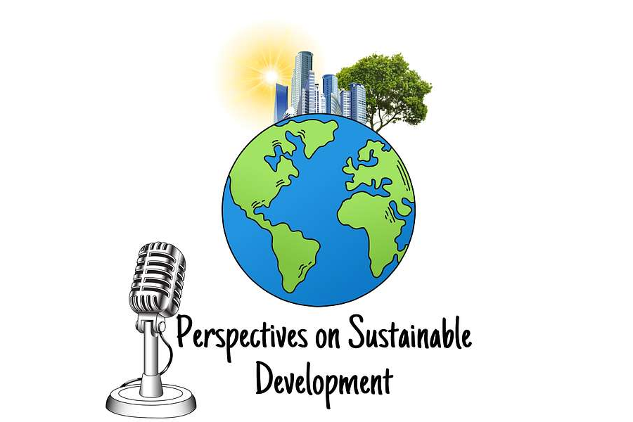 Decarbonizing our Energy Sector: Challenges and Opportunities