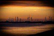 Adapting to the Changing Winds: How Executive Orders on Wind Farms Impact U.S. Renewable Energy