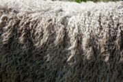 The Future of Insulation: Cutting-Edge Innovations for Energy-Efficient Homes