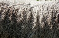 The Future of Insulation: Cutting-Edge Innovations for Energy-Efficient Homes
