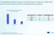 Hydrogen Auction |  EHB Detailed analysis