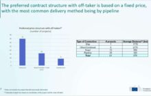 Hydrogen Auction |  EHB Detailed analysis