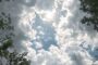 Bold Utility Leadership In an Era of Shifting Priorities and Workforce Challenges [an Energy Central Powertalk™]