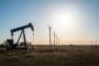 The palace, the protests and the red carpet: How OPEC’s seminar played out