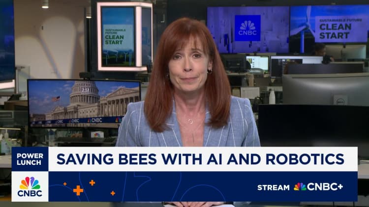 Bees get AI-powered home makeover to keep them safe from natural disaster
