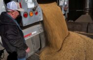 Trump threatens China with cooking oil embargo over soybean snub