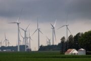 Trump ban on wind power projects overturned by federal judge