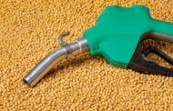 Feedstock Supply Crunch Adds To European Biofuels Volatility