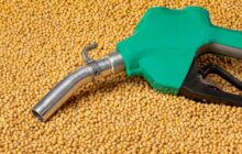 Feedstock Supply Crunch Adds To European Biofuels Volatility