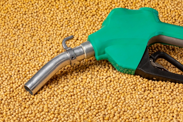 Feedstock Supply Crunch Adds To European Biofuels Volatility