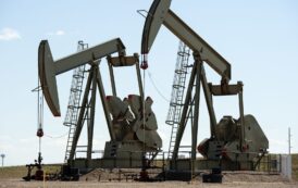 OPEC+ agrees in principle to keep oil output pause for March, sources say