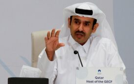 Exclusive-Qatar's energy boss says he had warned of dangers of provoking Iran