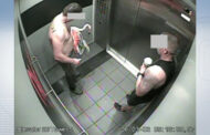 Las Vegas police: Tourist stole, tortured flamingo at iconic Strip hotel