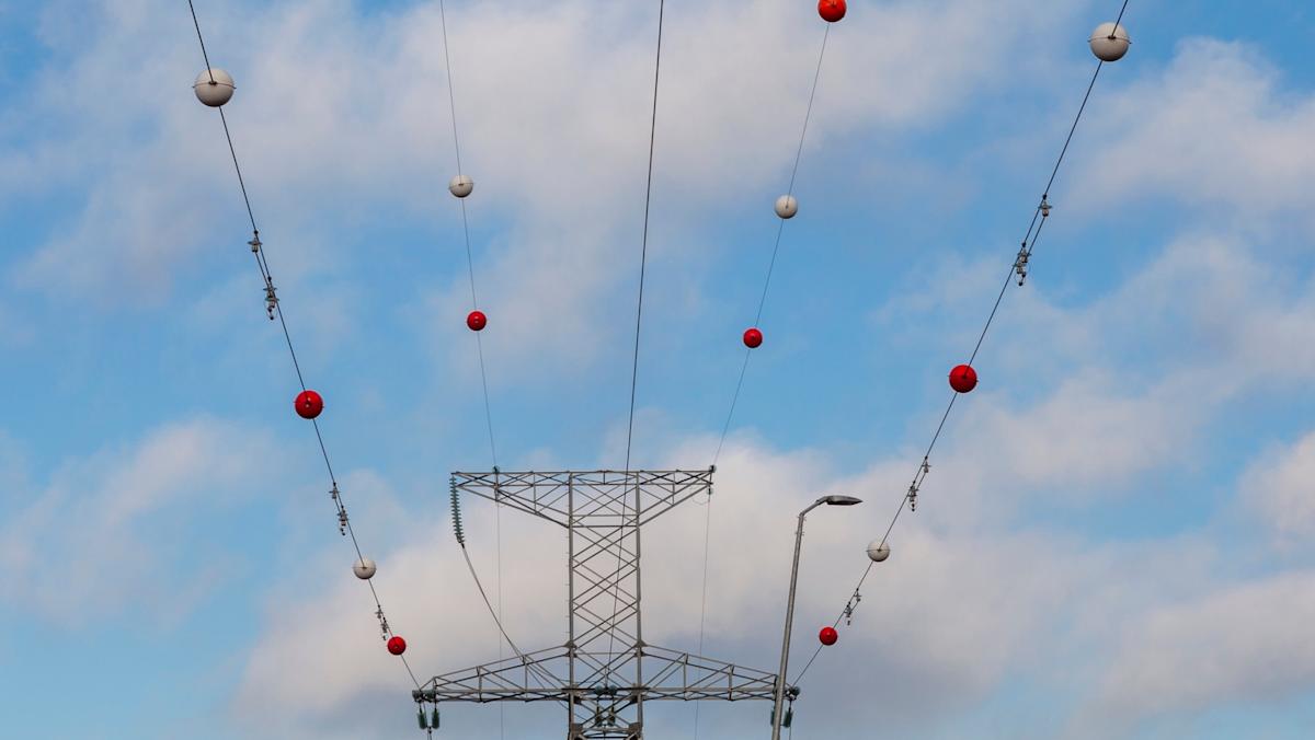 Utility companies deploy 'magic balls' in effort to reduce rising electricity costs: 'This is the perfect technology'